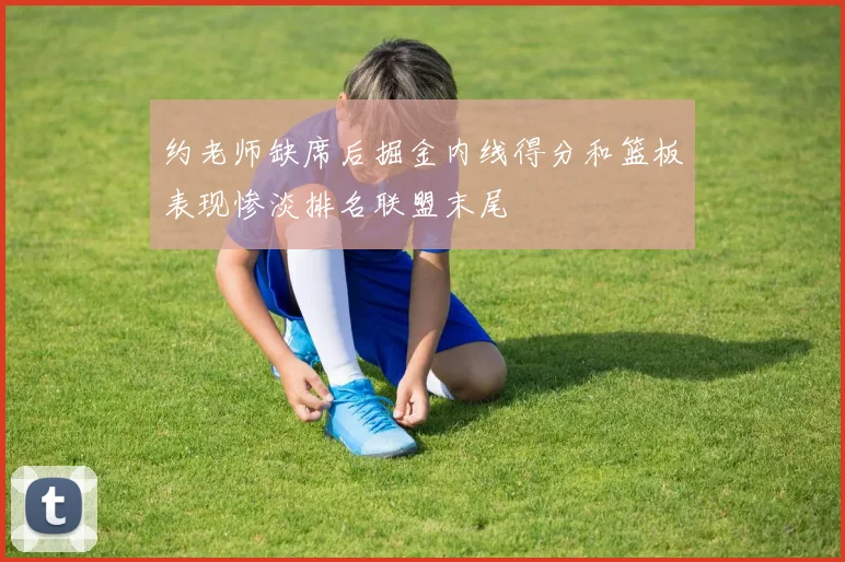 约老师缺席后掘金内线得分和篮板表现惨淡排名联盟末尾