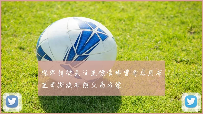 绿军持续关注里德黄蜂曾考虑用布里奇斯换布朗交易方案