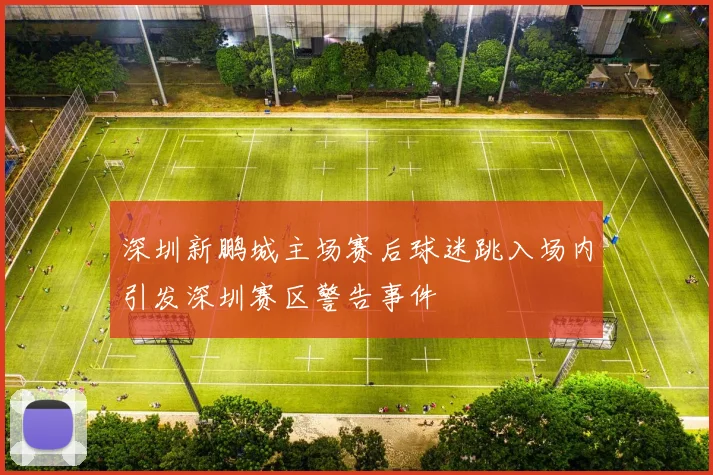 深圳新鹏城主场赛后球迷跳入场内引发深圳赛区警告事件
