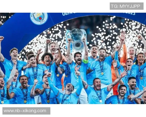 欧冠年收入有望突破50亿Netflix计划争夺全球转播权