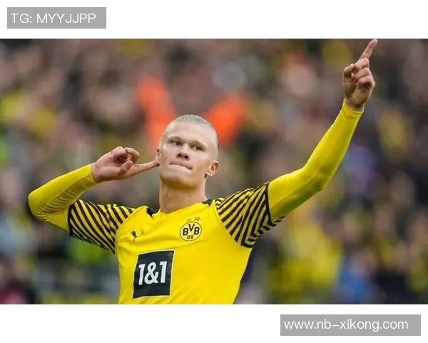 哈兰德回忆多特首月表现称其为职业生涯最佳时光