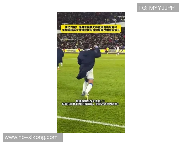 瑞典世预赛惨遭四轮不胜无缘世界杯直接晋级近三场比赛颗粒无收