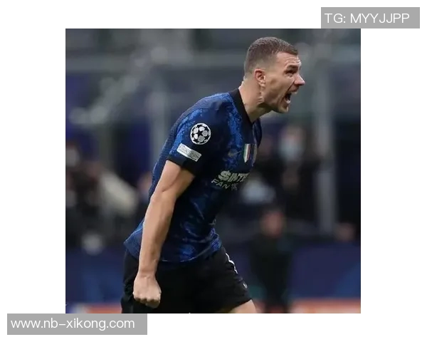 前意甲裁判解析国米点球判罚与帕夫洛维奇黄牌的合理性 前意甲裁判解析国米点球判罚与帕夫洛维奇黄牌的合理性